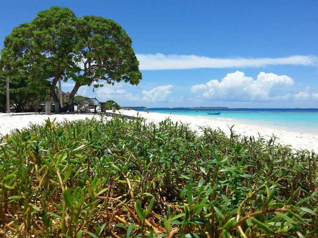 Lvis Blancura Hotel Dharavandhoo Dış mekan fotoğraf