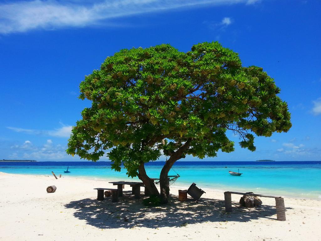 Lvis Blancura Hotel Dharavandhoo Dış mekan fotoğraf