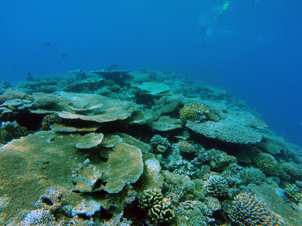 Lvis Blancura Hotel Dharavandhoo Dış mekan fotoğraf